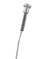 Sonda magnética, temperatura